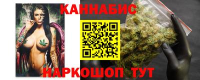крисы Ирбит