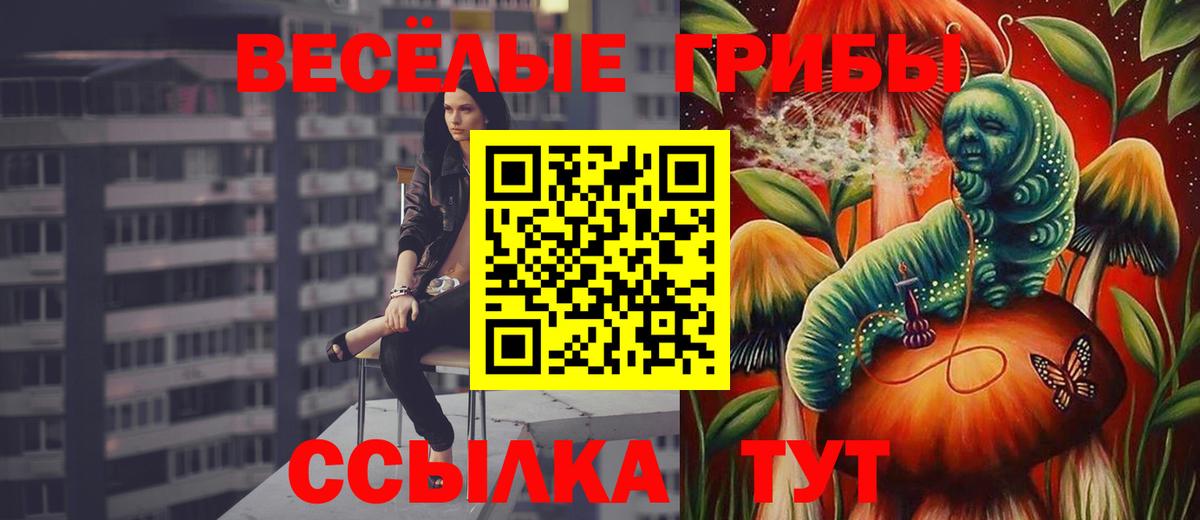 Гусь-Хрустальный  Псилоцибиновые грибы Psilocybe  Вход с VPN  Галлюциногенные грибы Cubensis 